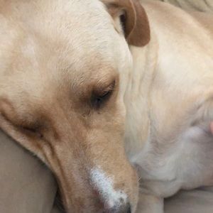 Meet your Posher, Kristi